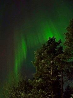 an aurora bore is seen in the sky above some trees