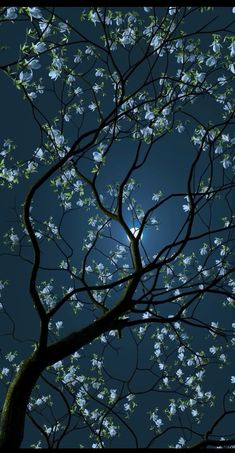 the branches of a tree with white flowers against a blue night sky and moon in the background