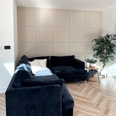 a living room with two couches and a potted plant on the side wall