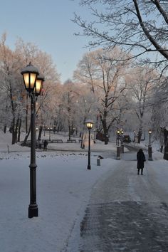 a person walking down a snow covered sidewalk next to a lamp post and street light