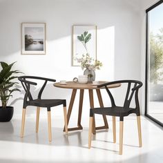 two chairs sitting at a small table with a potted plant in the corner next to it