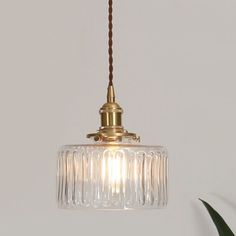 a glass light hanging from a ceiling fixture in a room with a plant on the wall