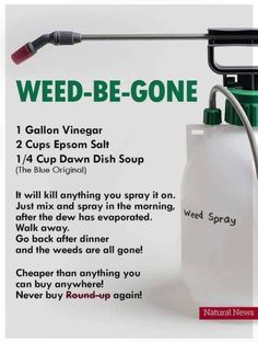 Reddit - gardening - Saw this online and I’m wondering if anyone has tried it? I’m a true newbie in the yard and I’m looking for natural weed killer recipes that work. Really want to avoid RoundUp! TIA! Killing Weeds, Lawn Pests, Garden Remedies, Garden Weeds, Home Vegetable Garden, Garden Yard Ideas, House Cleaning Tips, Lawn And Garden, Useful Life Hacks