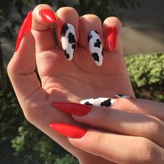 Cow Stilleto Nails, Pointy Almond Nails Long, Red Cow Nails, Red Stiletto Nails Designs, Red Stiletto Nails, Coffin Nails Ombre, Checkered Nails, Western Nails, Best Gel Nail Polish