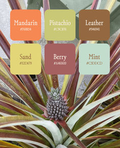 the names of different types of plants are shown in this color chart for each plant