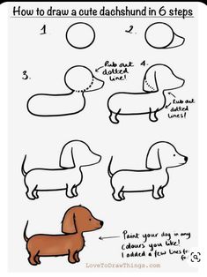 how to draw a cute dachshund in 6 steps step by step instructions