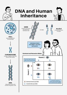 the diagram shows different types of human interaction