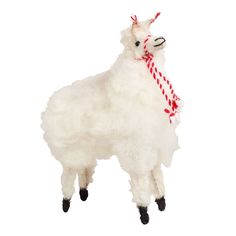 a white llama with a red and white rope around it's neck on a white background