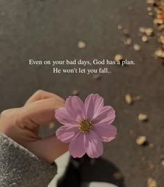 a person holding a pink flower in their hand with the words even on your bad days, god has a plan he won't let you fall