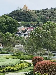 a lush green park with lots of trees and bushes in front of a small town