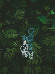 the words are written in different languages on some plants and leaves with green foliage behind them