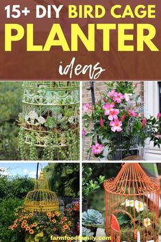 bird cage planters with flowers in them and text overlay that reads 15 diy bird cage planter ideas