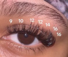 Lash Extensions Numbers, Cluster Lash Map, Cluster Map, Fake Eyelash Makeup, Lash Maps, Lash Map, Glossy Lips Makeup, Small Lashes