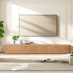 a living room scene with focus on the tv and plant in the center, along with white walls