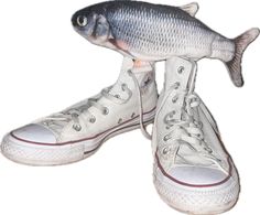 two fish that are sitting on top of each other's shoes in front of a white background