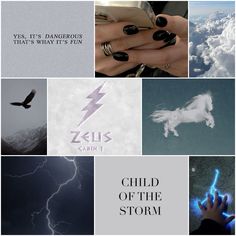 a collage of photos with lightning, clouds and horses in the middle one has text that reads, yes, it's dangerous that is why it's fun child of the storm