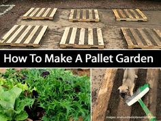 how to make a pallet garden from wooden pallets and other things that are in the ground