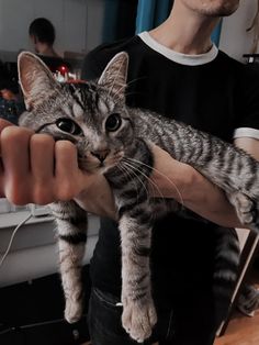 a man holding a cat in his hands