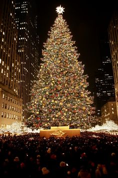 a large christmas tree in the middle of a city