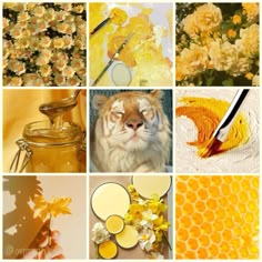 the collage is filled with many different things to see in this photo, including flowers and honeycombs