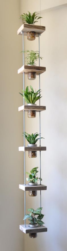 the hanging planter is filled with succulents