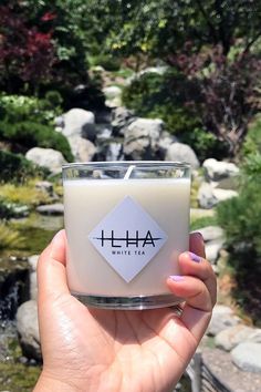 a hand holding a candle in front of a stream with rocks and trees behind it