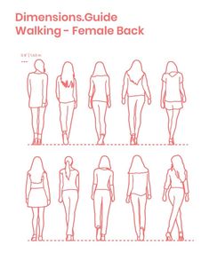 the back side of a woman's body, with different positions and measurements for walking