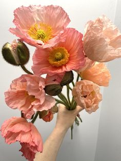 a hand holding a bunch of pink flowers in it's left arm, with the petals still attached