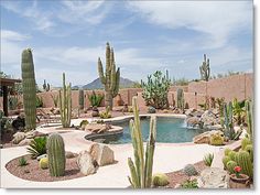 an outdoor pool surrounded by cactus and rocks