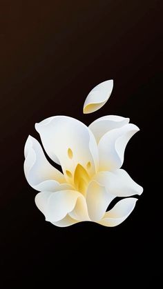 an apple logo with a white flower on the front and back side, against a black background