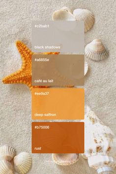 the color scheme is orange, brown, and white with some sea shells on it