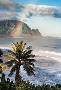 a rainbow shines in the sky over an ocean with palm trees and mountains behind it