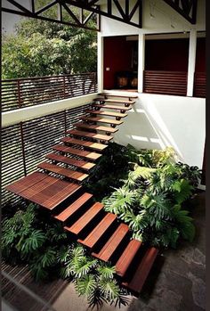 an outdoor area with wooden steps and plants