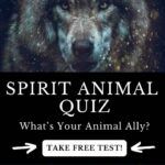 an animal quiz with the words spirit animal quiz on it's front and side