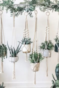 macrame plant hangers with plants and potted plants in them hanging from the ceiling