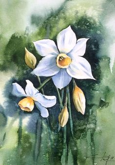 watercolor painting of three white flowers with yellow stamens in the foreground