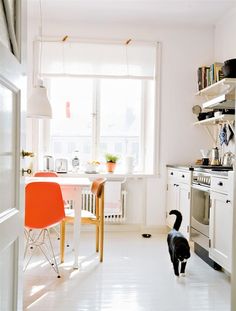 a black and white cat walking through a kitchen with an orange chair in the foreground