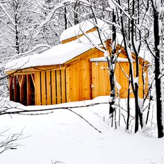 a small wooden cabin in the woods covered in snow and surrounded by trees with no leaves