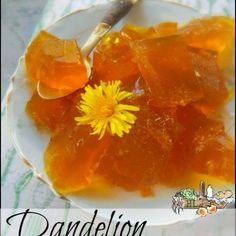 a white plate topped with orange jelly and a yellow dandelion flower on top