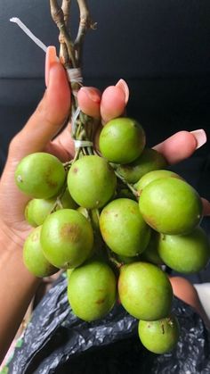 a person holding green fruit in their hand