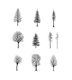 six different types of trees in black and white