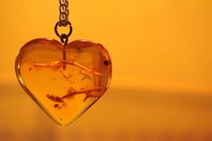 Amber Cleaning Tip: Damp cloth and dry. Warm water and detergent is also effective. Amber Essential Oil, Orange Jewelry, Necklace Orange, Gallery Wallpaper, Golden Amber, Jewelry Advice, Blue Amber, Jewelry Heart, Rustic Colors