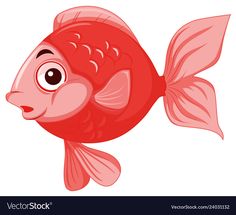 a red fish with big eyes on a white background