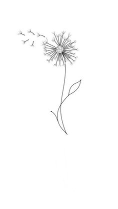 a drawing of a dandelion blowing in the wind