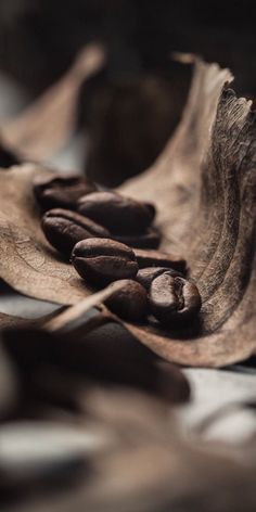 some coffee beans are laying on top of a leaf