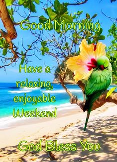 a green bird sitting on top of a tree branch next to the ocean with words good morning have a relaxing, enjoyable weekend