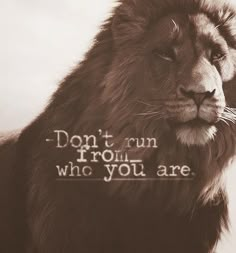 a lion with the words don't run through who you are