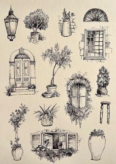 a drawing of potted plants and windows on a piece of paper with a white background