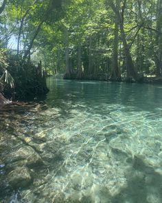 the water is crystal clear and blue in this area with trees on both sides,