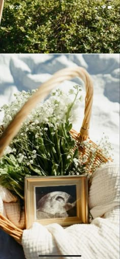 a basket with flowers sitting on top of it next to an image of a bird